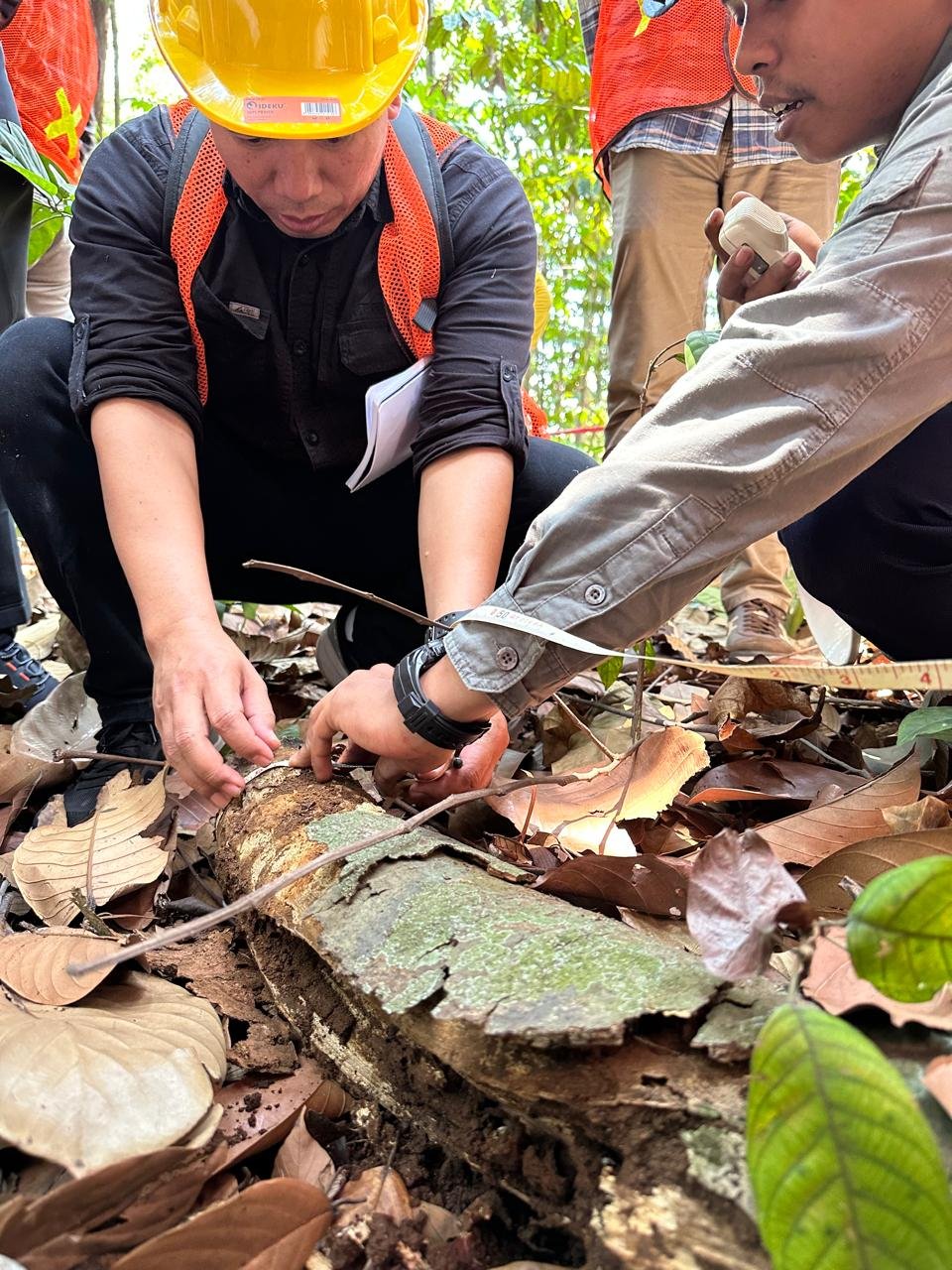 Peserta asesmen mengukur dan mencatat data kayu